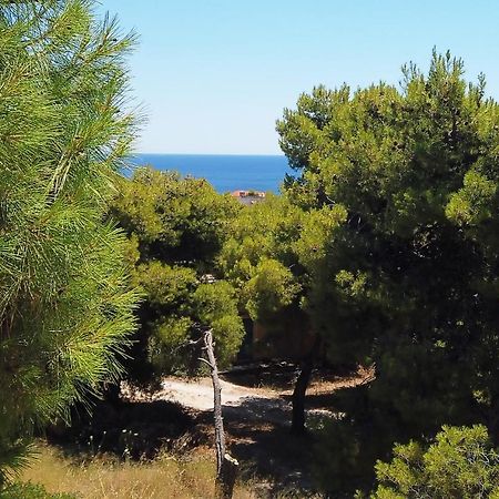 Fistiki Rooms Agia Marina  Екстериор снимка