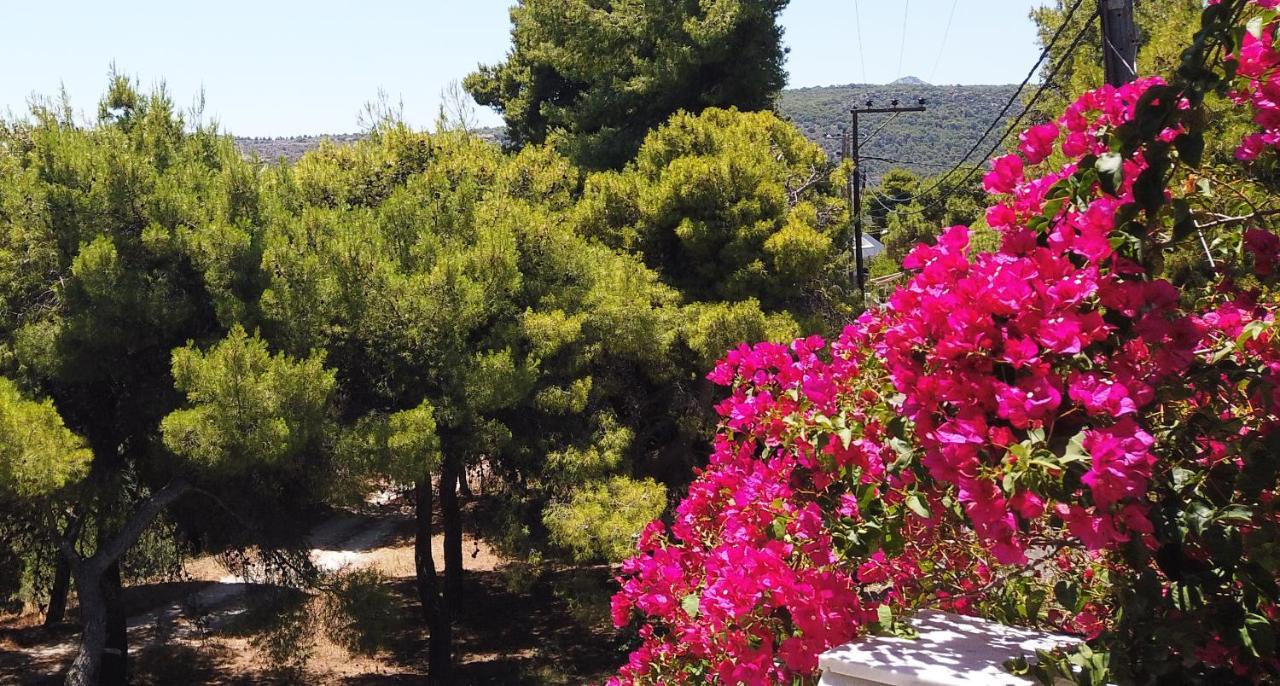 Fistiki Rooms Agia Marina  Екстериор снимка